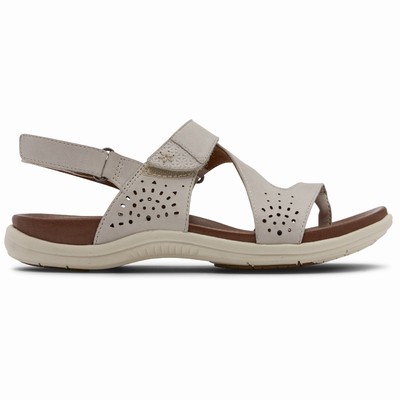 Sandálias Rockport Cobb Hill Rubey Thong Mulher Cinzentas PT-56931